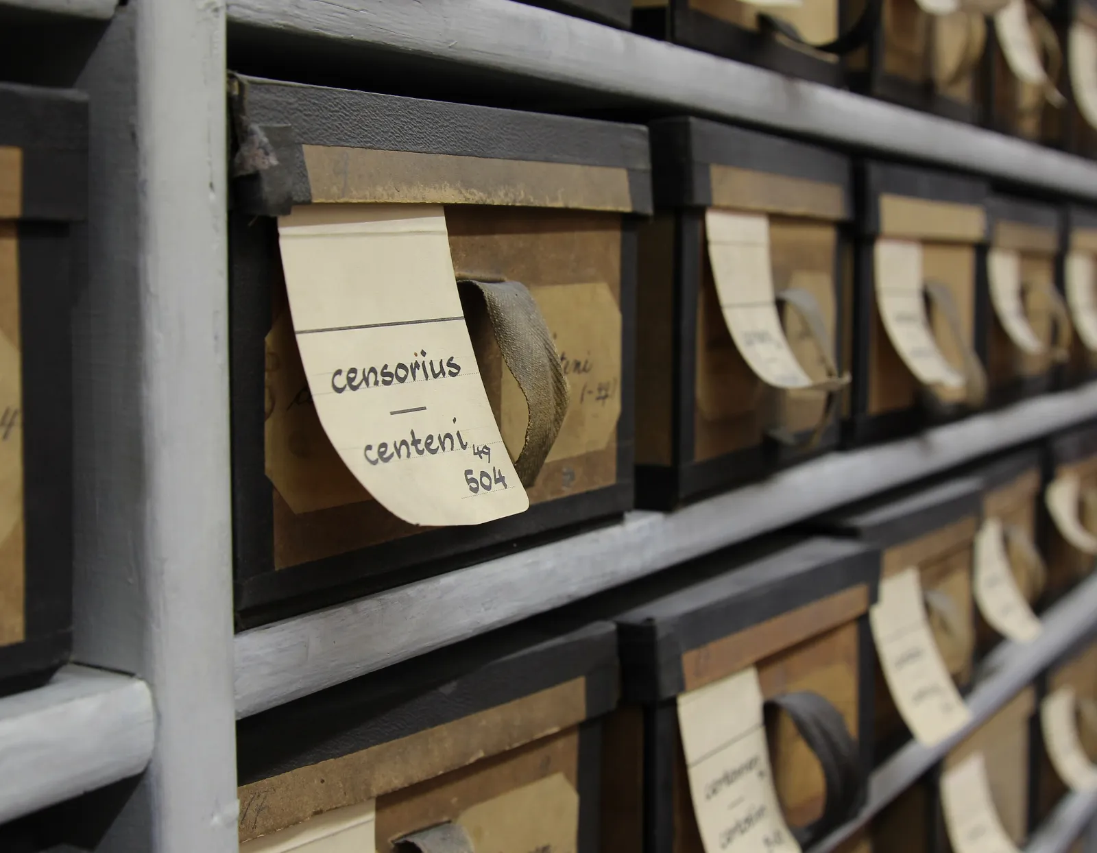 Close-up of a slip box labelled censorius, with handwritten slips behind it