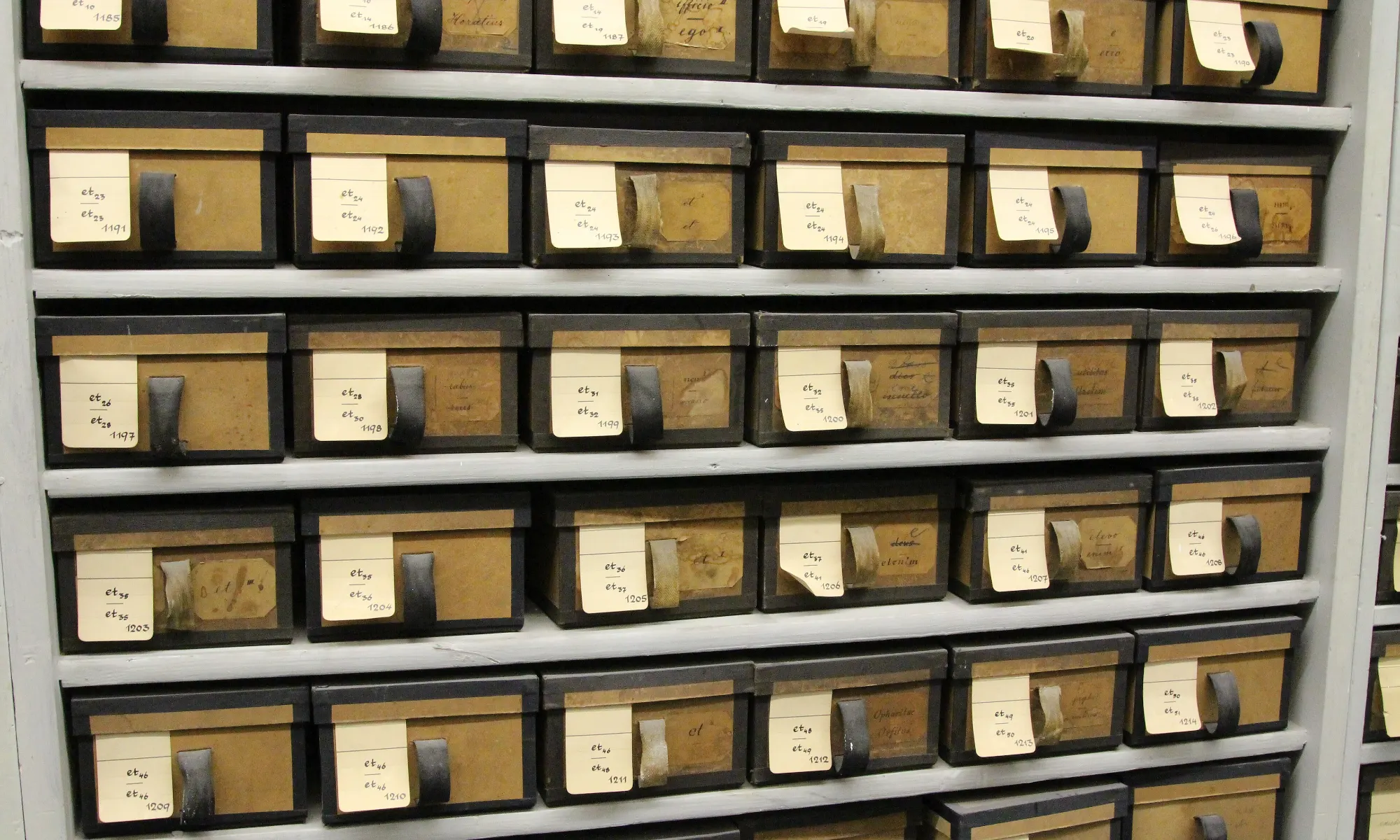 A wall of cardboard slip boxes, each with a handwritten label and a pull strap
